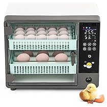 孵卵器とヒヨコ電球のセット Amazon.co.jp: ひよこ育雛用電球セットと温度計ペットおしっこ